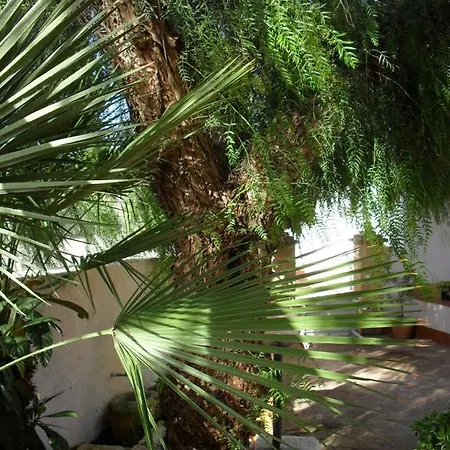 Casa Petros