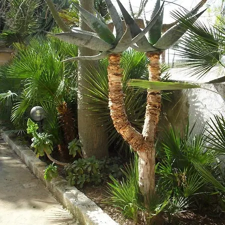 Casa Petros Apartament *
