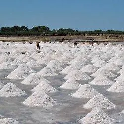 Casa Petros 公寓 *