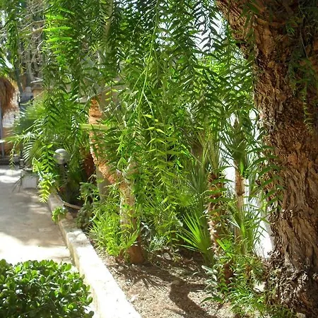 Casa Petros Appartement