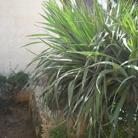 公寓 Casa Petros *