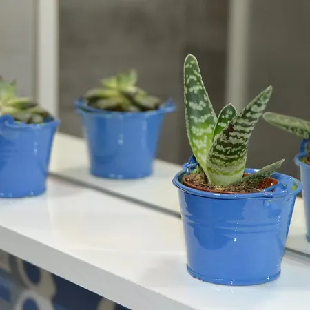 公寓 Casa Petros *