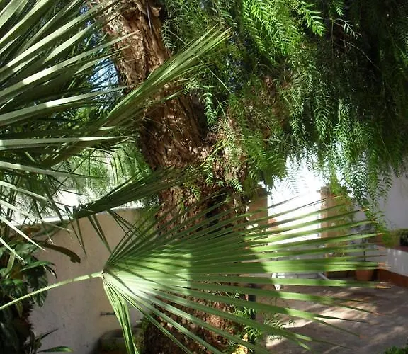 Casa Petros
