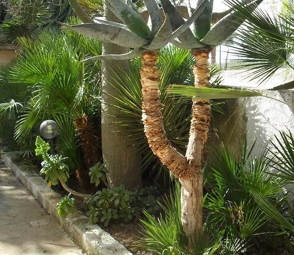 Casa Petros Appartement *